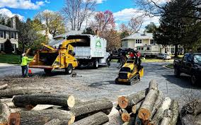 Best Tree Health Inspection  in Robinwood, MD